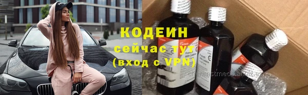 индика Верхний Тагил