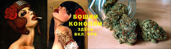 PSILOCYBIN Бородино