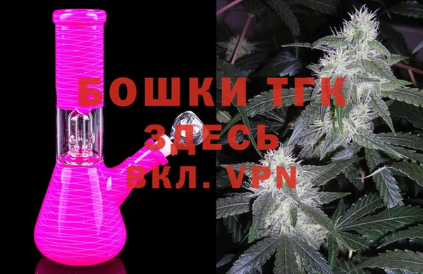 PSILOCYBIN Бородино