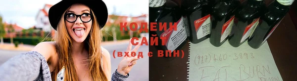 PSILOCYBIN Бородино