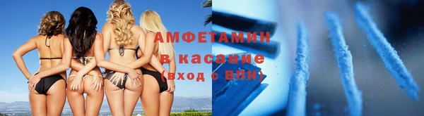 индика Верхний Тагил