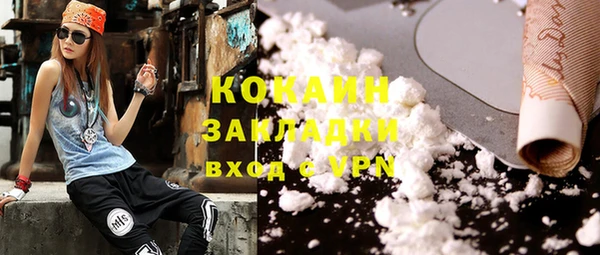 PSILOCYBIN Бородино