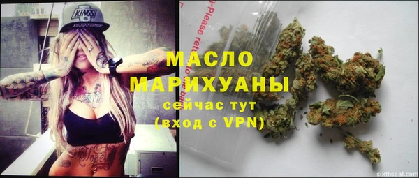 индика Верхний Тагил